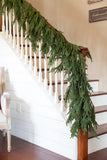Vita Domi 6' Norfolk Pine Hanging Garland w/ 101 Large Tips